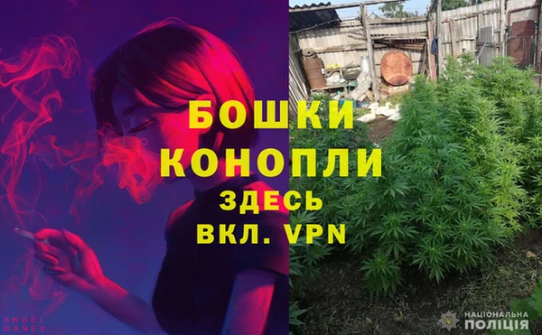 хмурый Алексеевка
