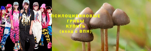 хмурый Алексеевка