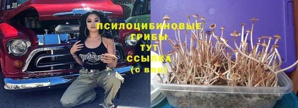 а пвп мука Алексин