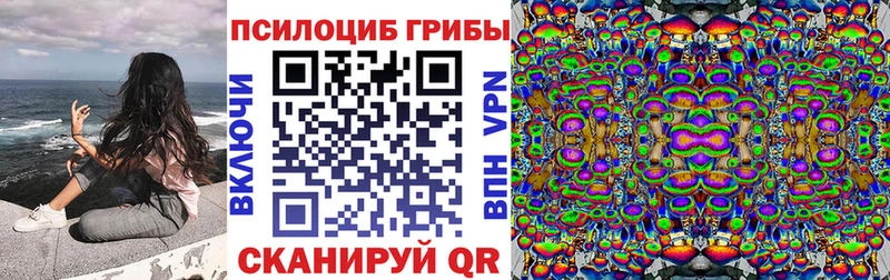 Галлюциногенные грибы мицелий  гидра ТОР  Сосновый Бор  маркетплейс телеграм  где продают наркотики 