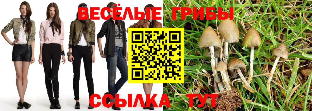 Галлюциногенные грибы Сосновый Бор