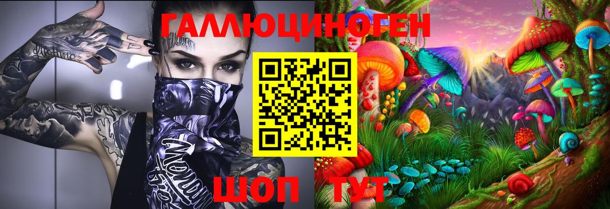 Псилоцибиновые грибы прущие грибы  Вход с VPN  Сосновый Бор  Галлюциногенные грибы Psilocybine cubensis 